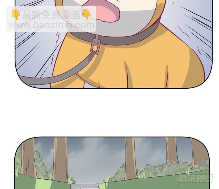 上山的寻觅12
