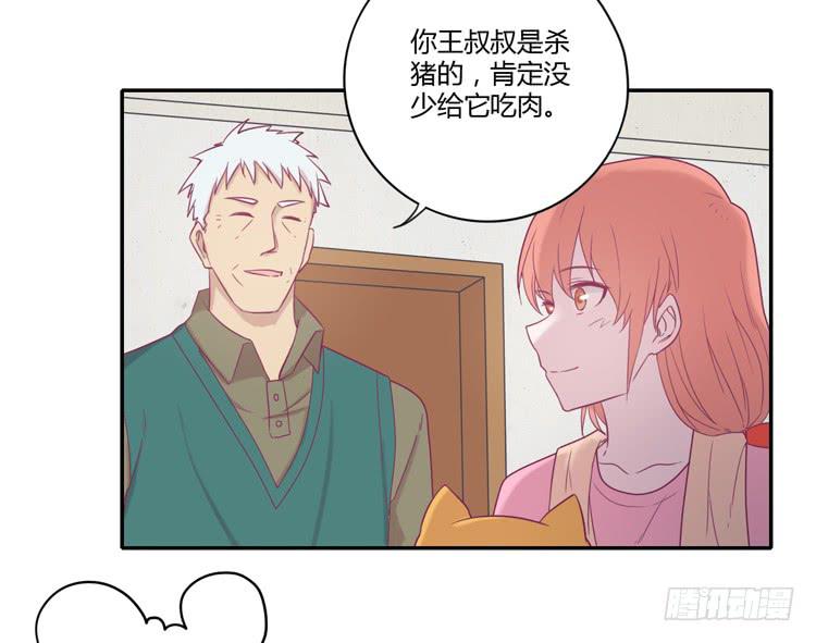 风雨无阻的恋爱37