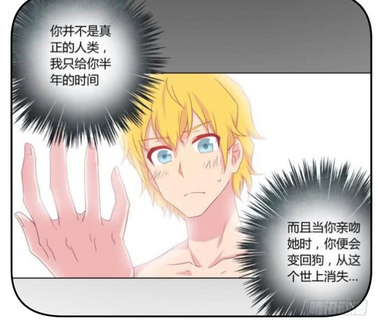 咦~你们在偷偷商量什么？6