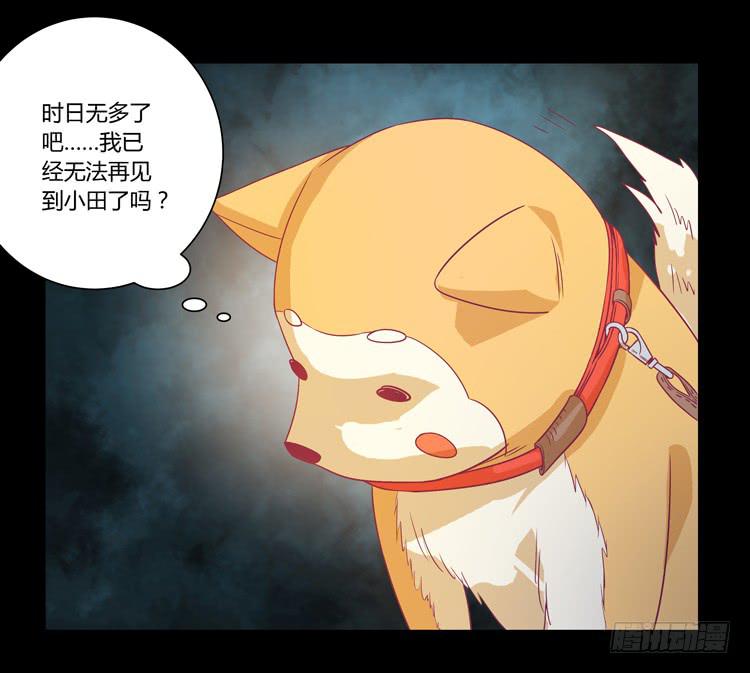 打回原形18