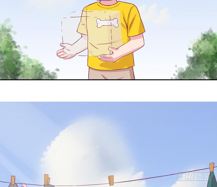 我有护卫了12