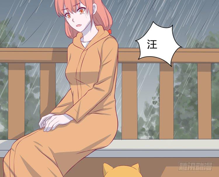 上山的寻觅49