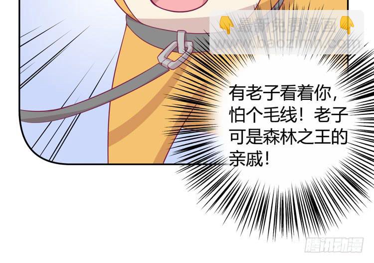 上山的寻觅9