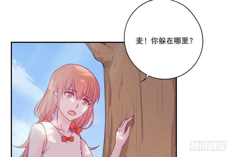火堆中的合照6
