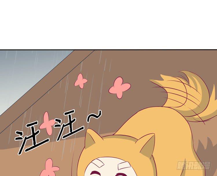 上山的寻觅38