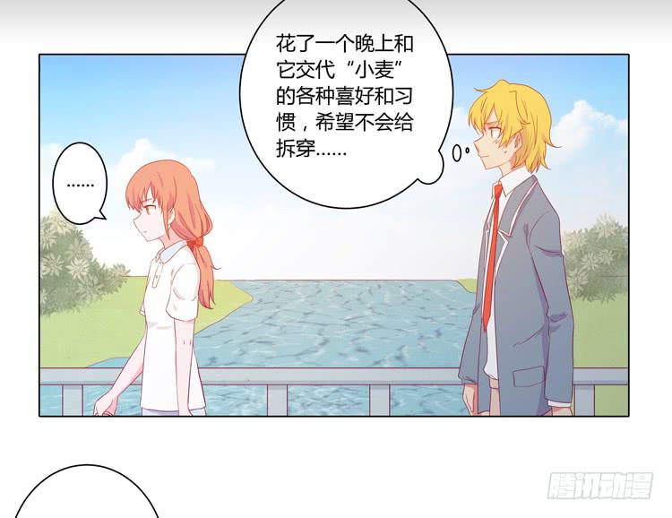 我要带小麦回城里！28