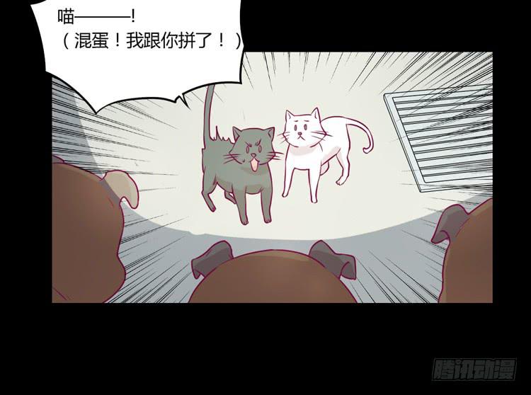 寿命等价交换？！4