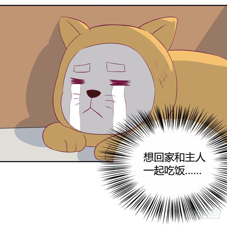 上山的寻觅31