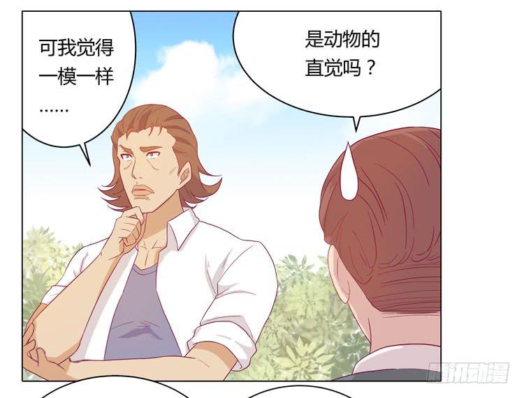熊大又来搞事！9