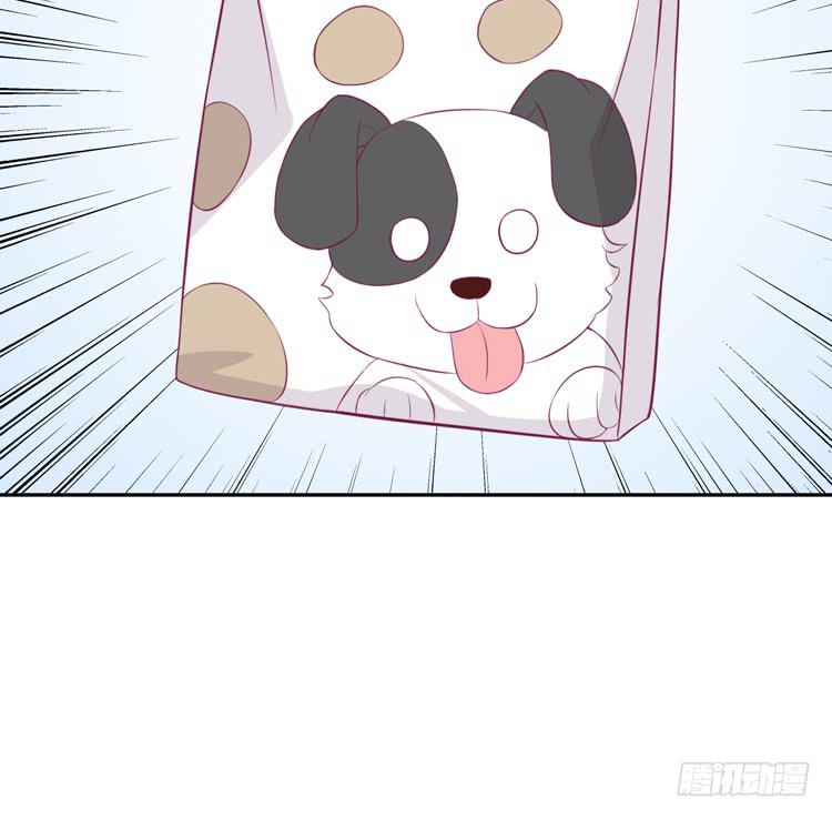 上山的寻觅37