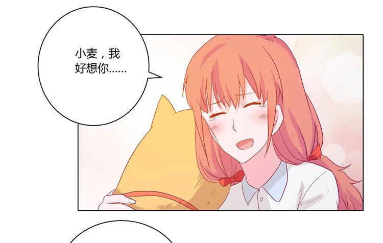 我要带小麦回城里！3