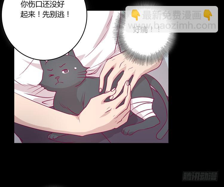 寿命等价交换？！15