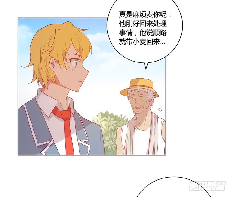 我要带小麦回城里！8