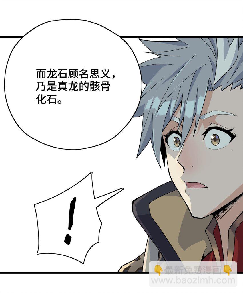 007 龙石46
