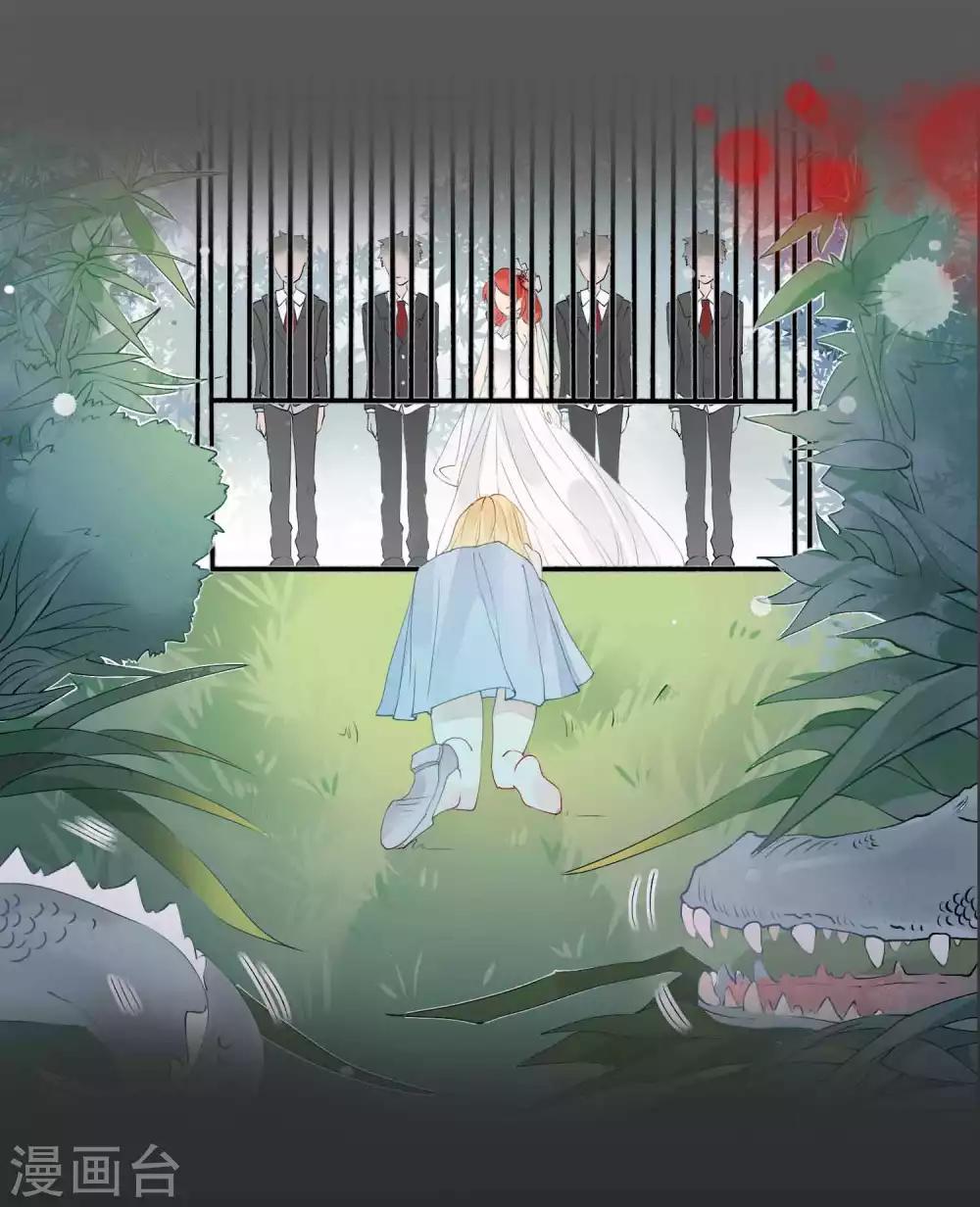 预告5