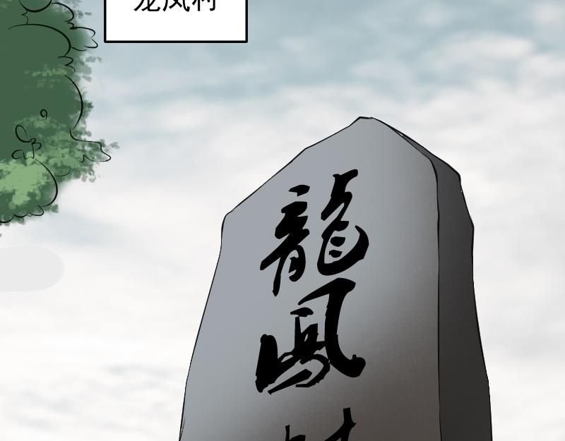 胡宗秘传12