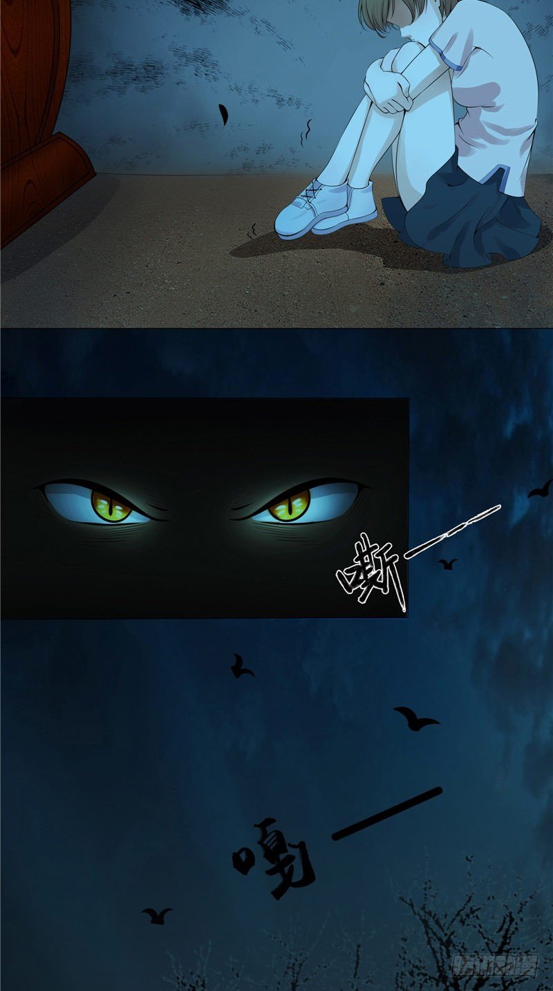 第14话 野猫17