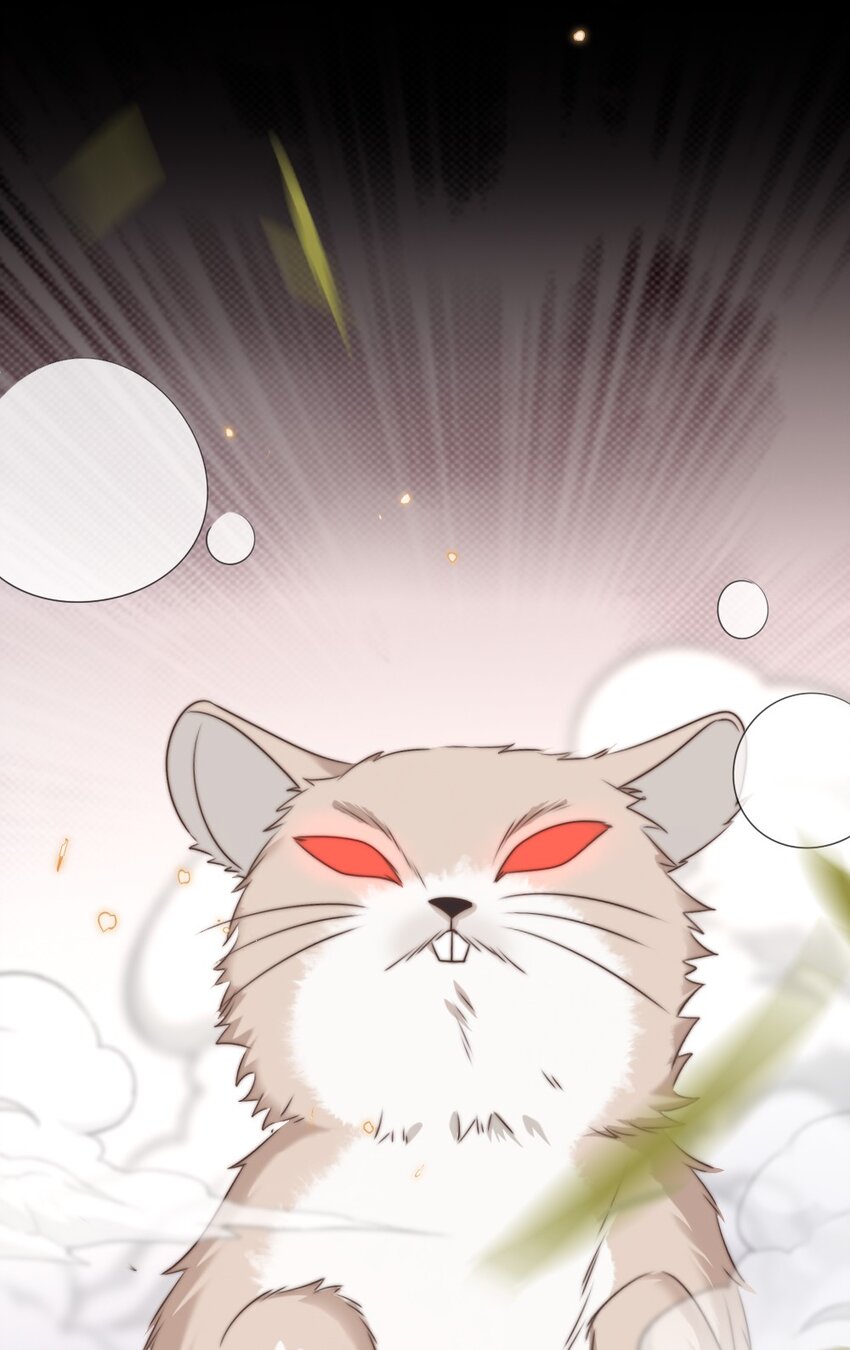 019 副本猎人46