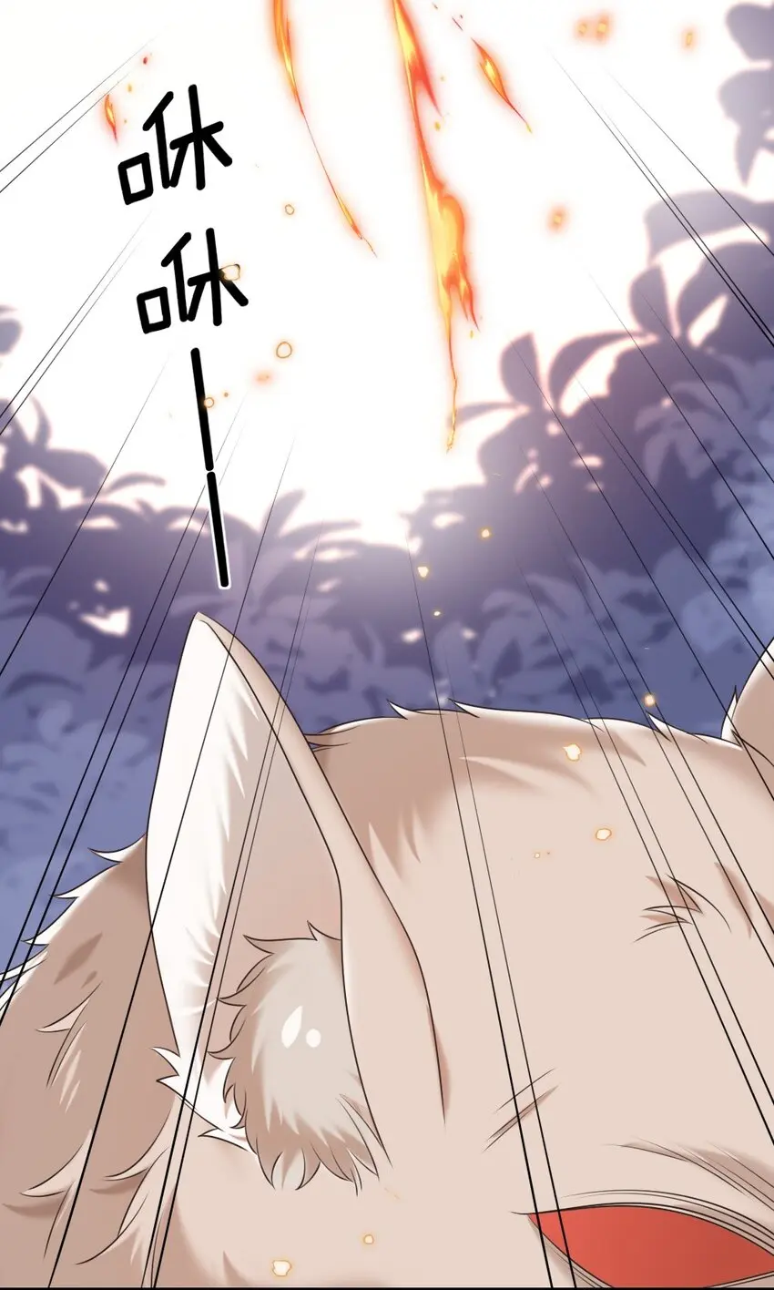 020 下单12