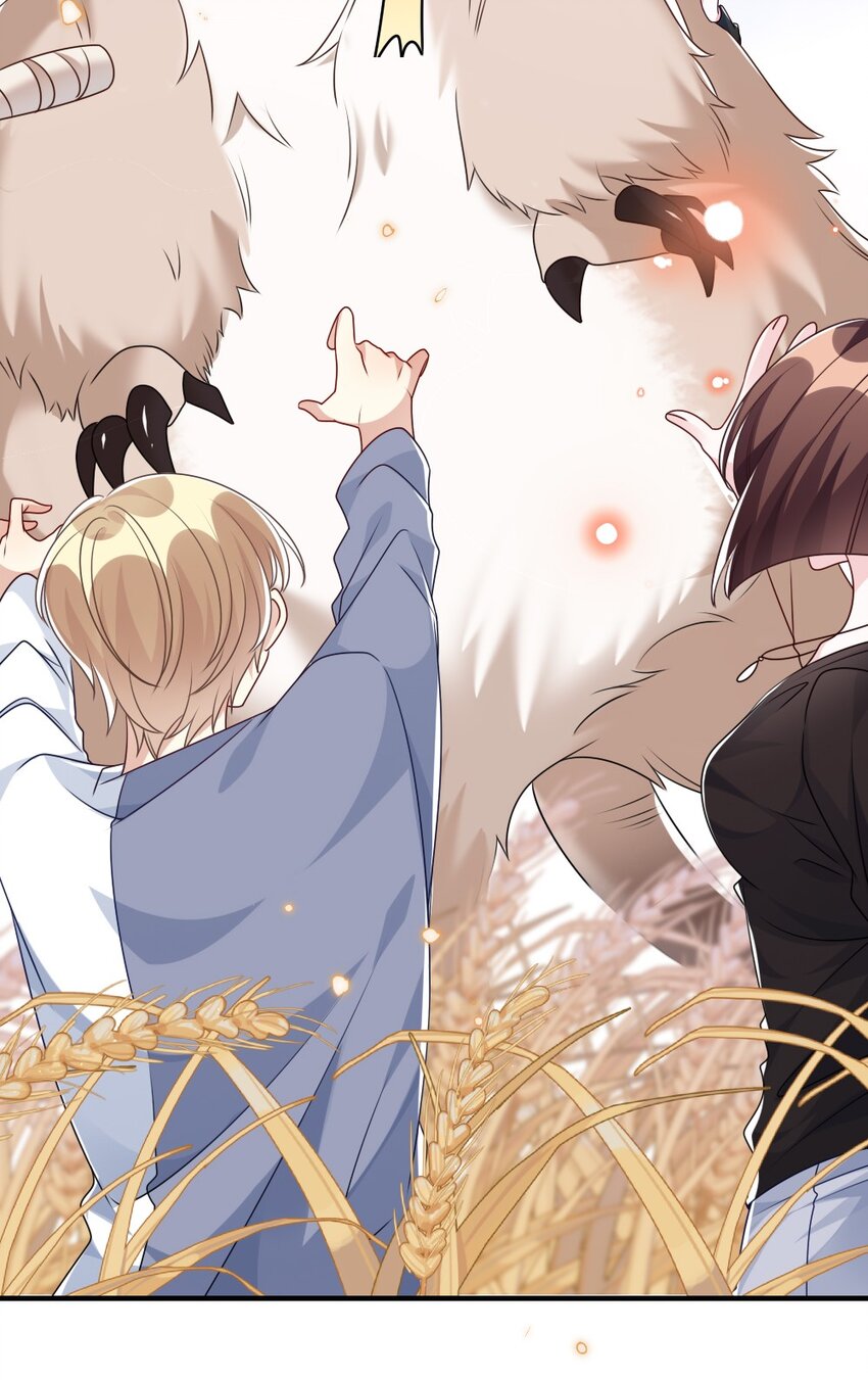 020 下单20