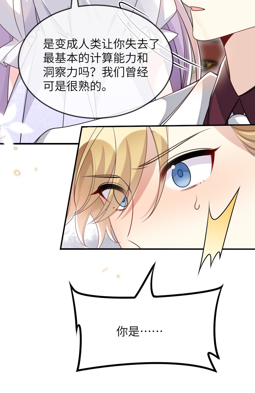 065美好的假象63