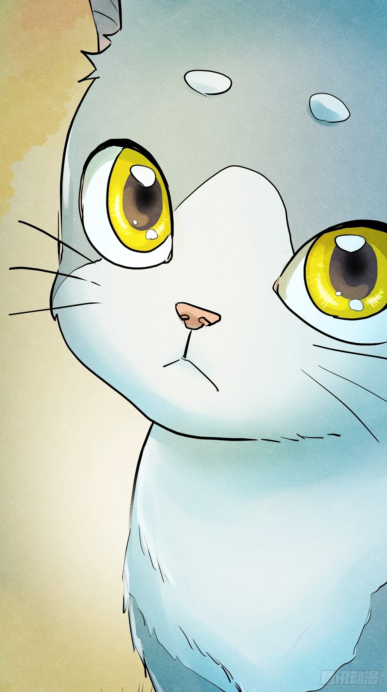 第35话我是自由的猫（上）16