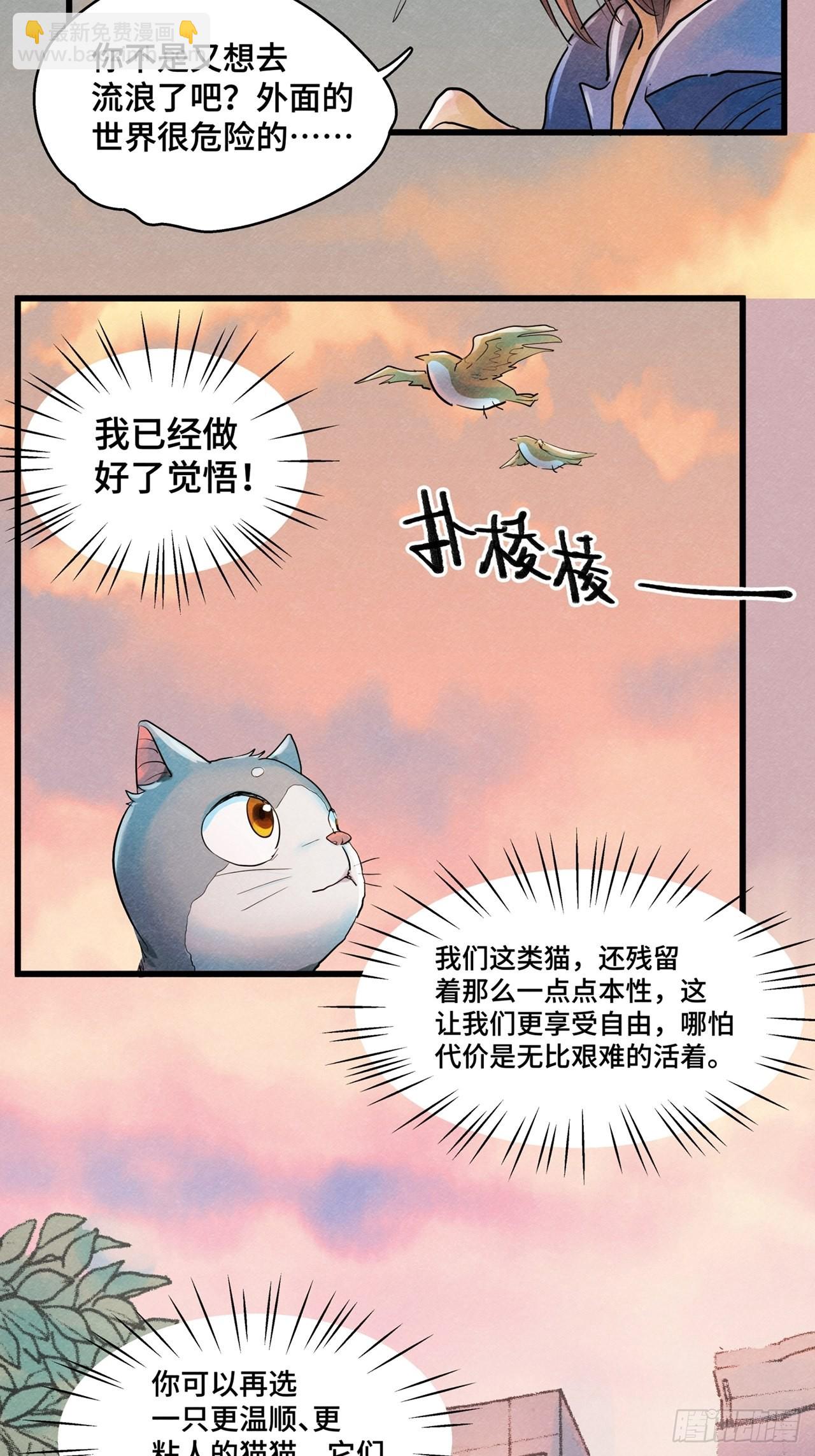 第36话我是自由的猫（下）46