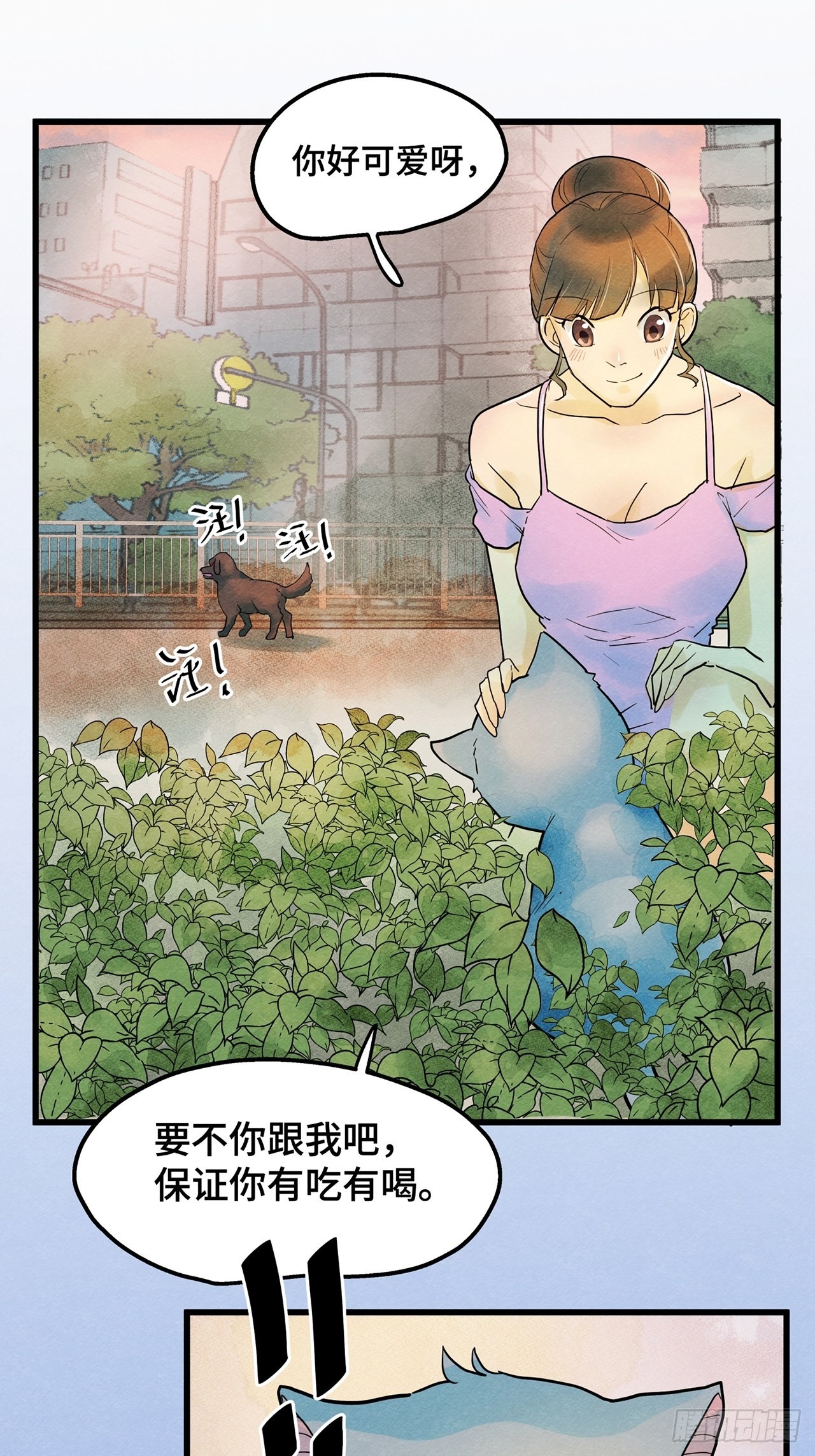 第35话我是自由的猫（上）25