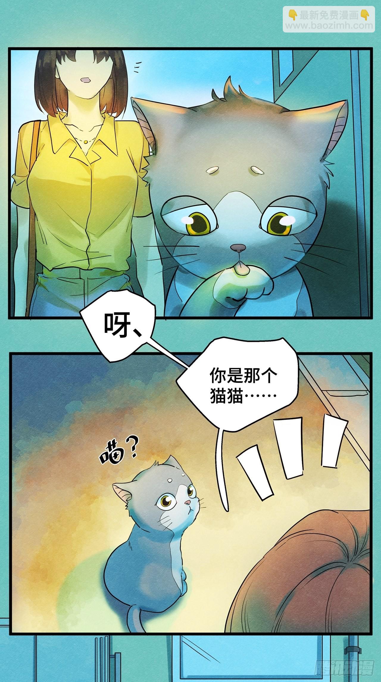 第35话我是自由的猫（上）7
