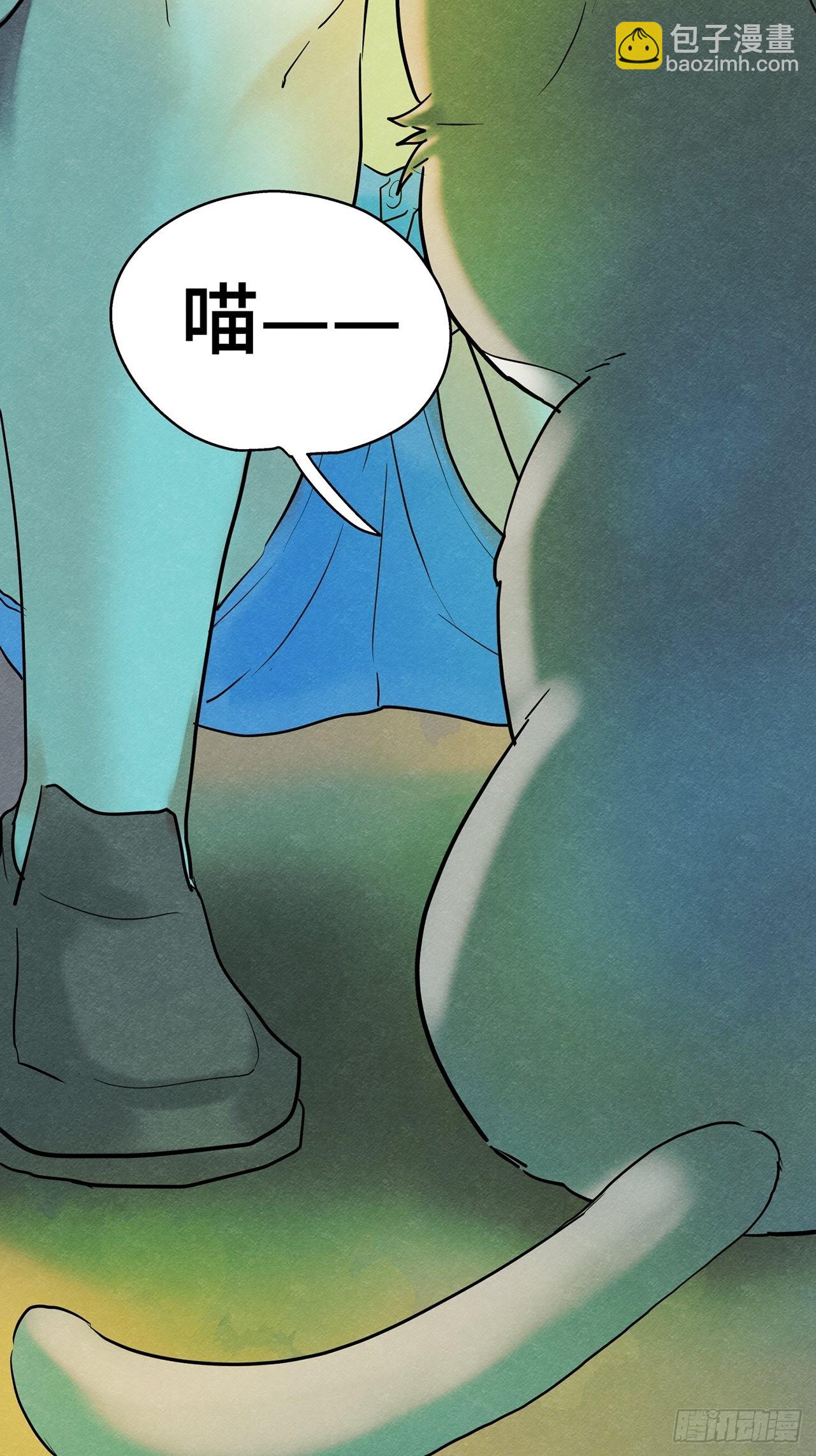 第35话我是自由的猫（上）11