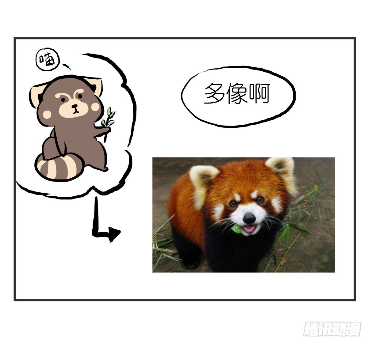 第14话：你让我忘了绝望是什么57