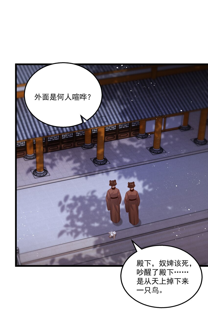 052被鸟抓走了？！14