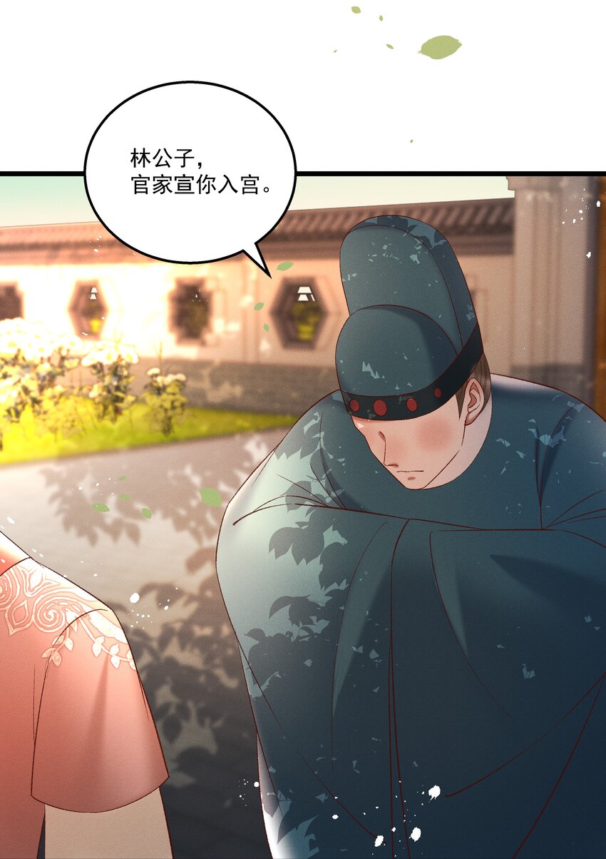 038 林公子，请入宫了50