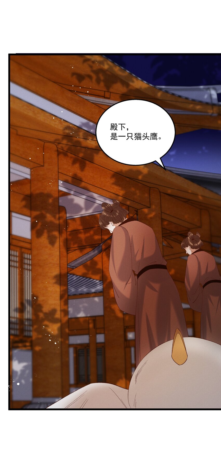 052被鸟抓走了？！16
