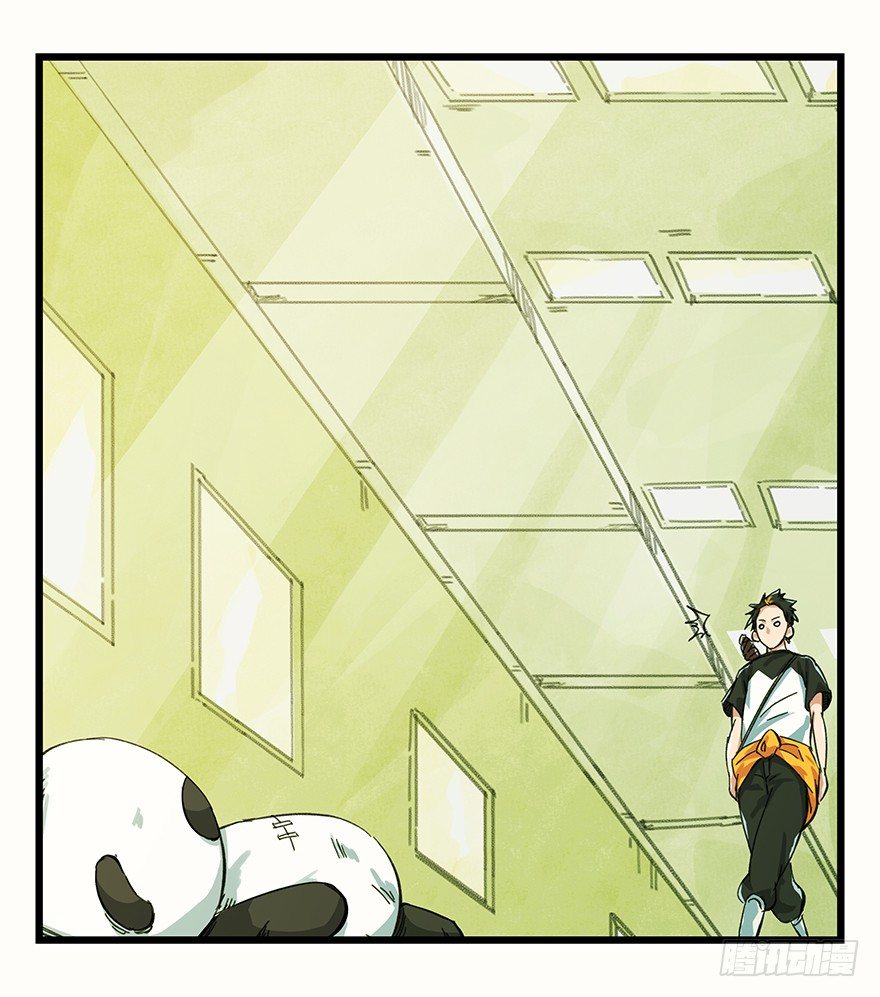 二，熊猫（上）9