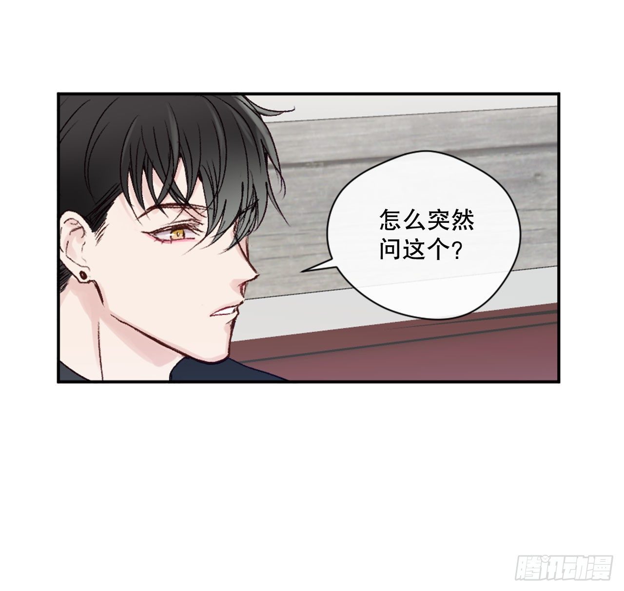15.意料之外的人13