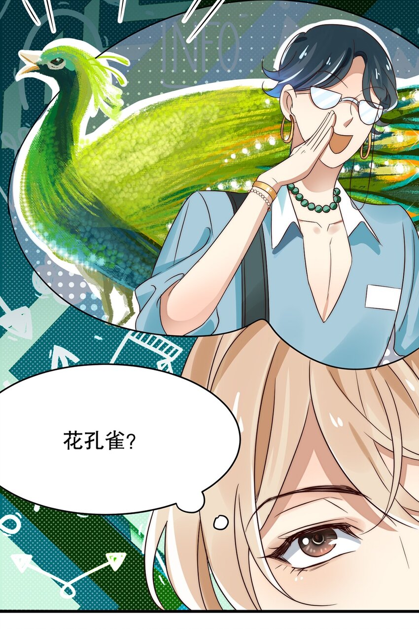 09 第九话  花孔雀14