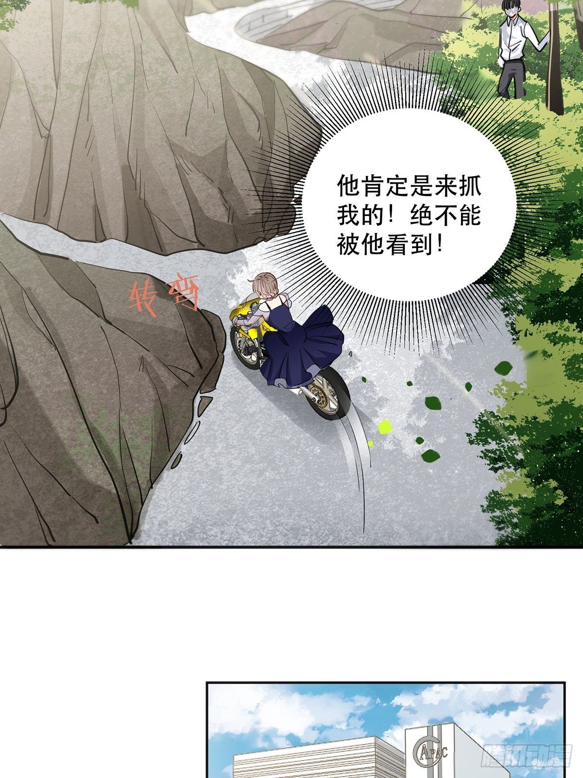 幸运的四叶草23