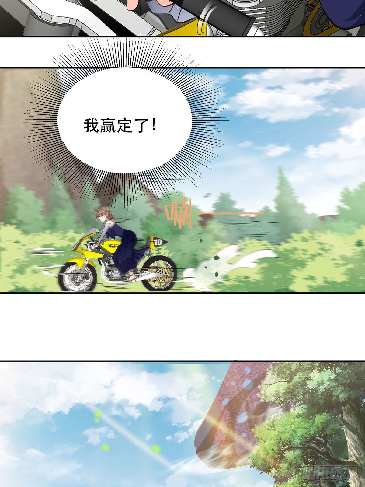幸运的四叶草20