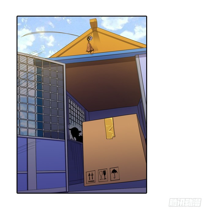 新同学15