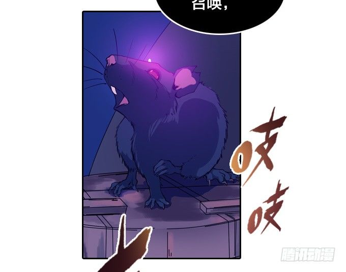 鼠王的召唤9