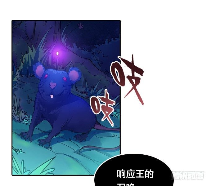 鼠王的召唤8