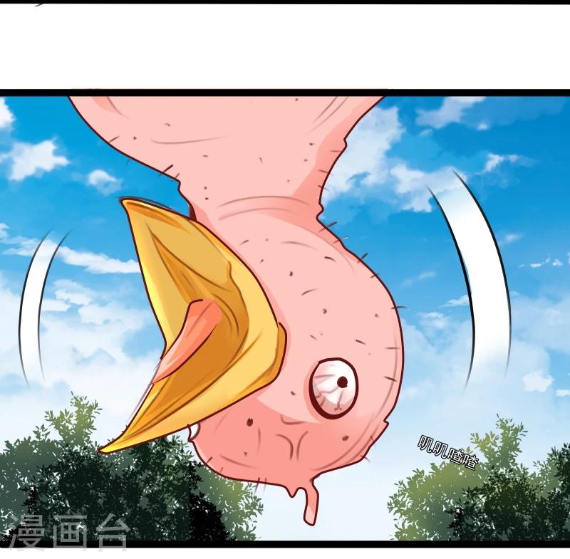 第35话 别打她的主意7