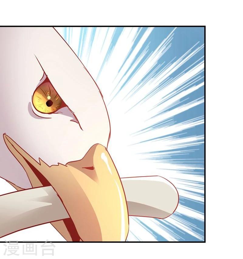 第12话 碰瓷9