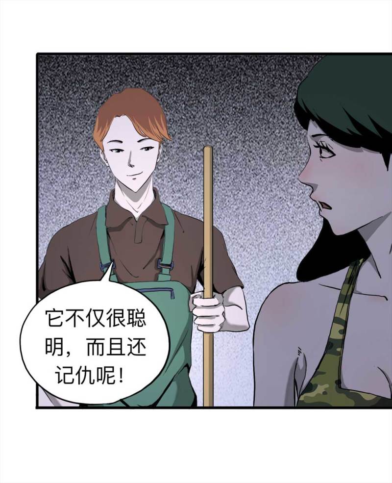 091-甜蜜岛（上）21