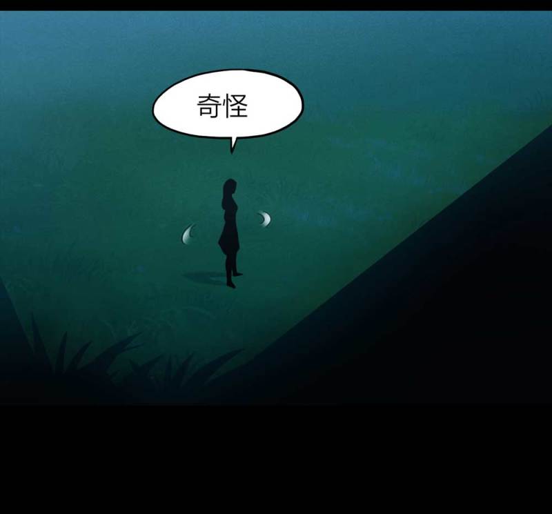 084-捉迷藏（上）29