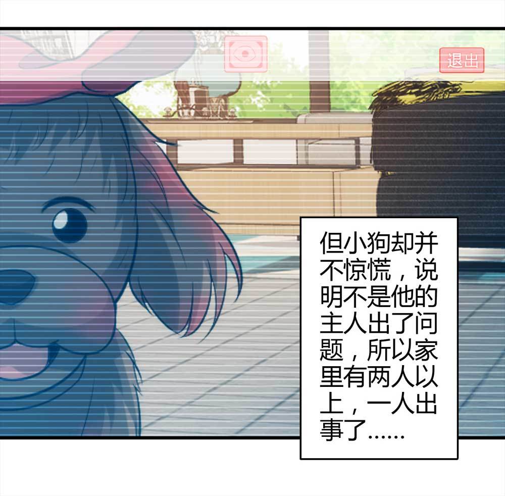 003-正在直播326