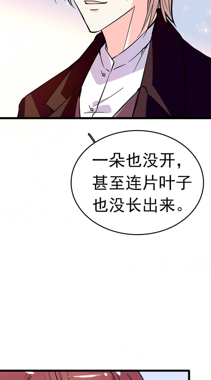 (Ⅱ)049腐烂的种子58