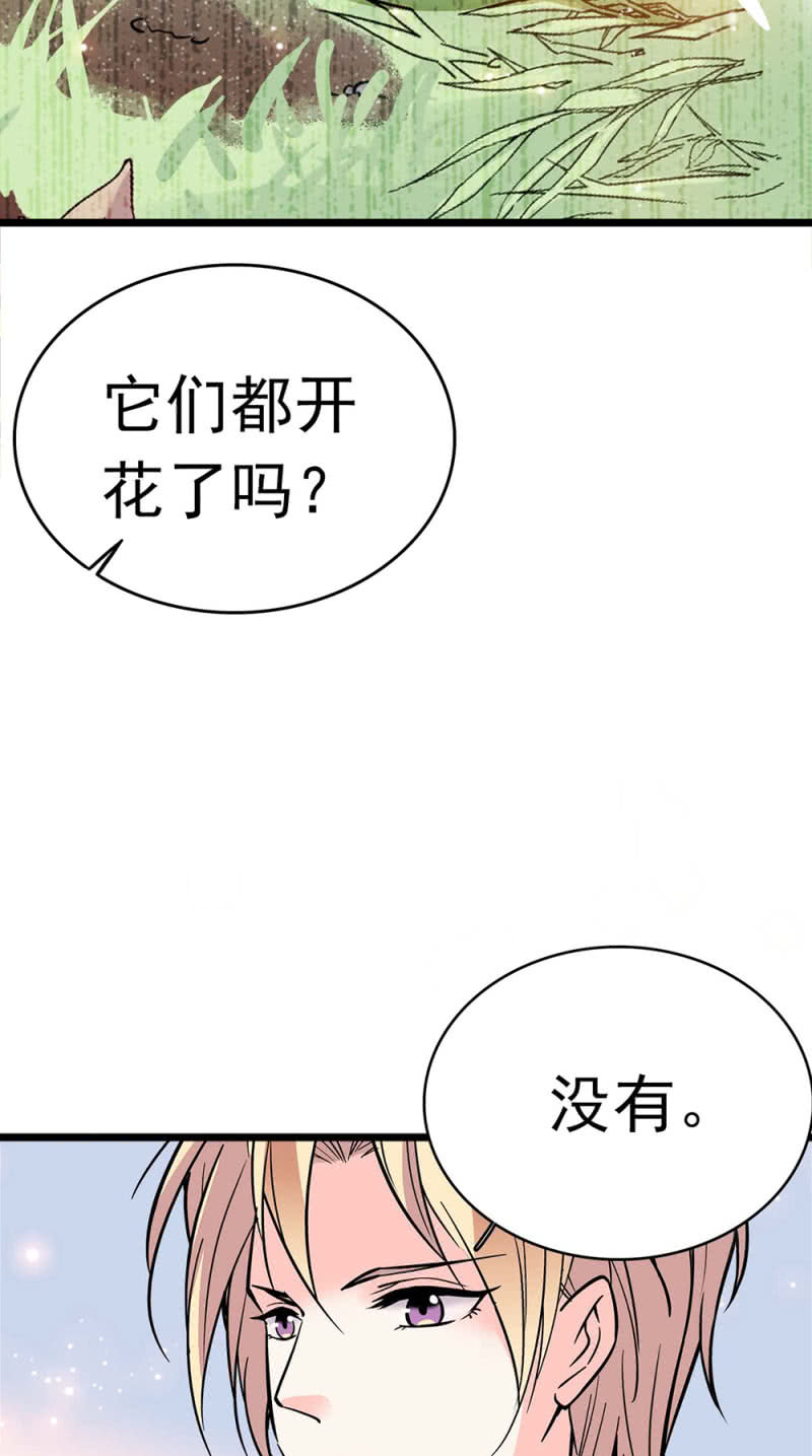 (Ⅱ)049 腐烂的种子57