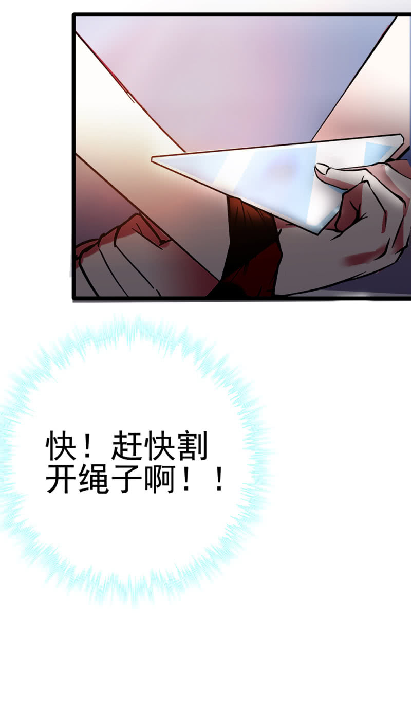 (Ⅱ)048分裂29